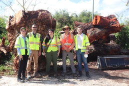 USACE Pioneers Wood Reuse While Advancing Infrastructure Development
