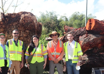 A Project with Many Benefits: USACE Pioneers Wood Reuse While Advancing Infrastructure Development