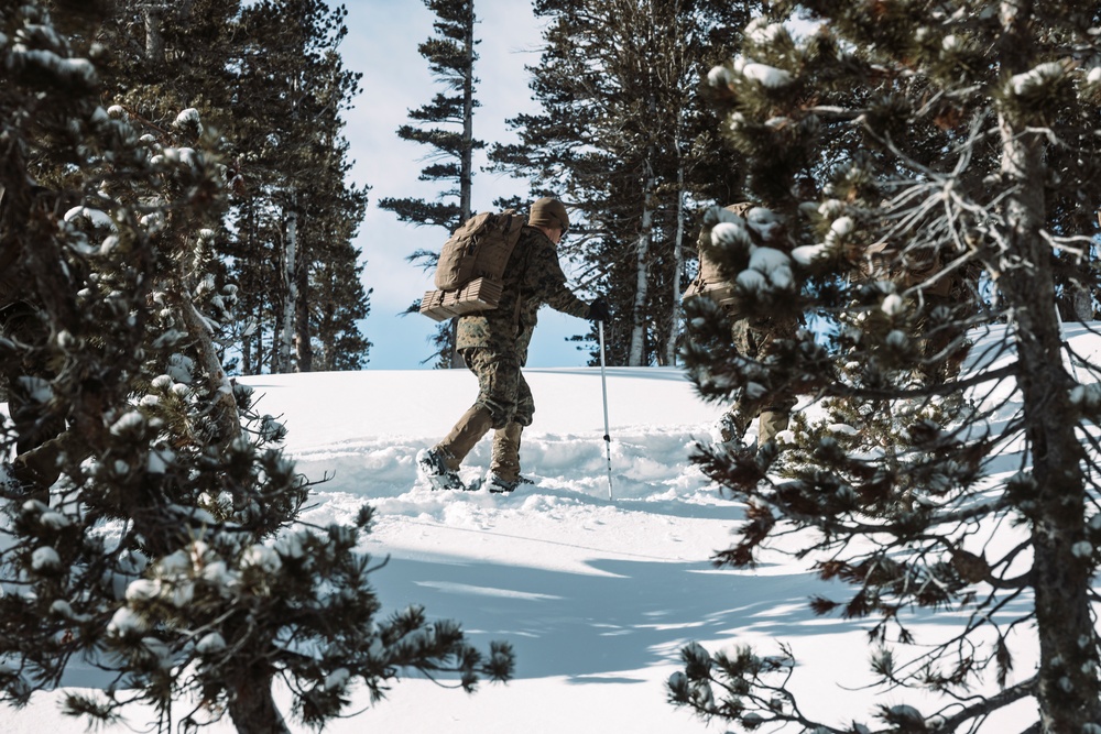 MTX 2-25 Tactical Hike