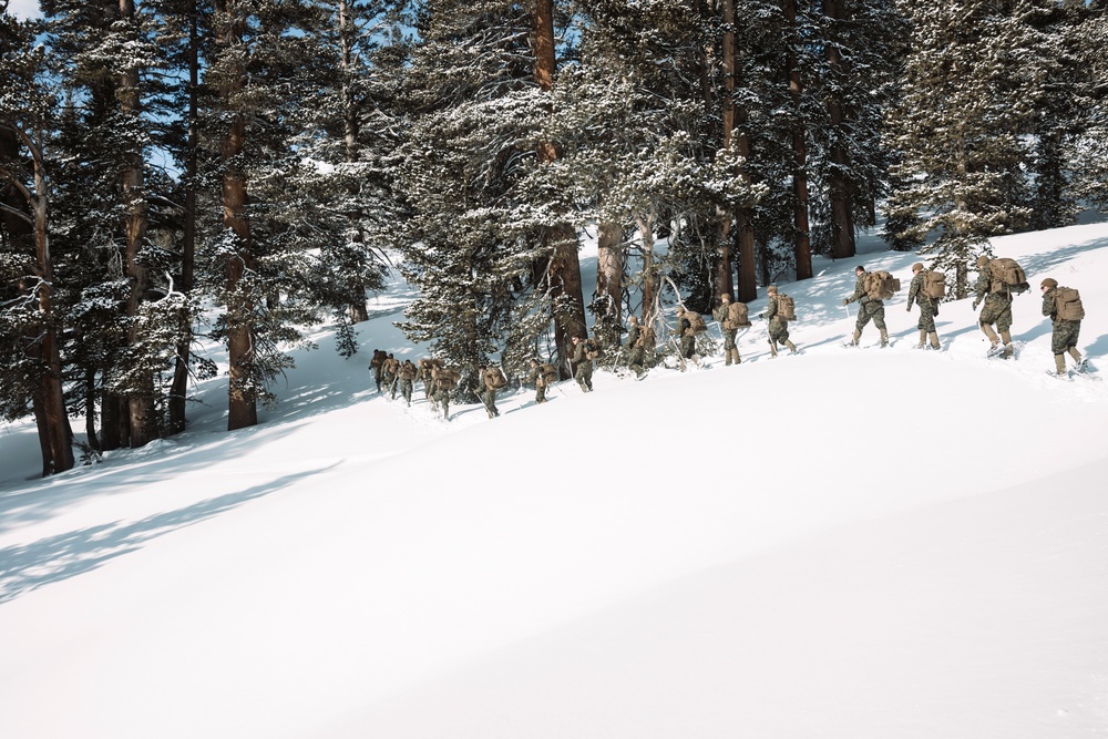 MTX 2-25 Tactical Hike