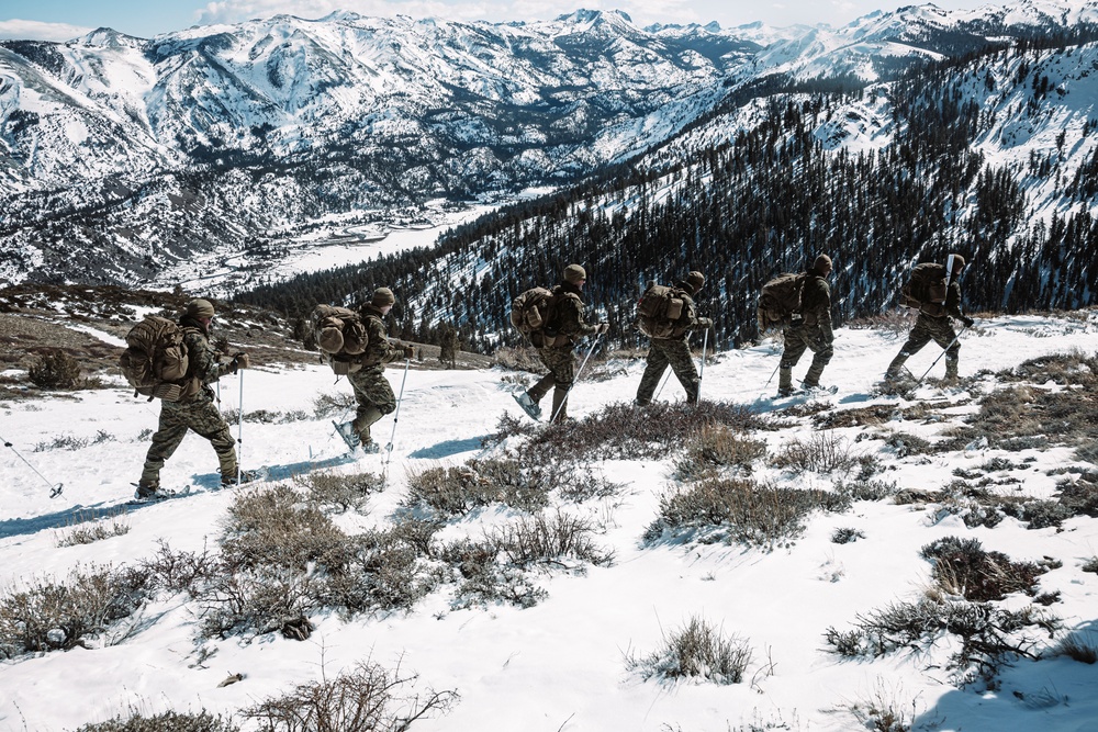 MTX 2-25 Tactical Hike