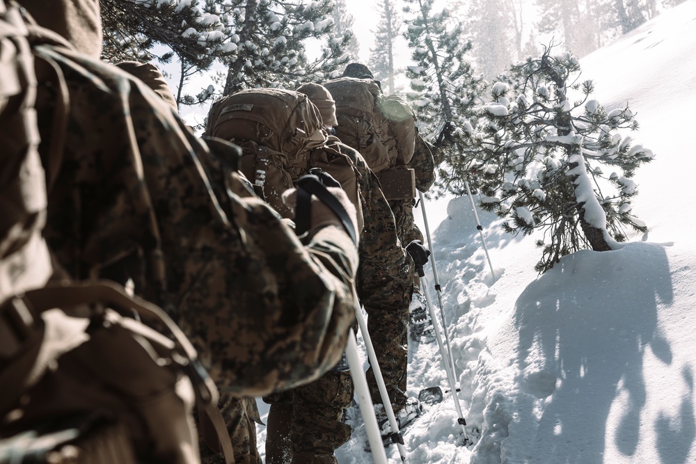MTX 2-25 Tactical Hike