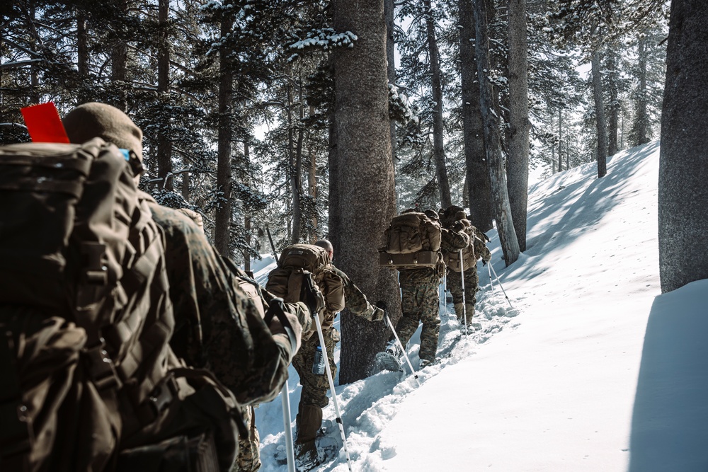 MTX 2-25 Tactical Hike