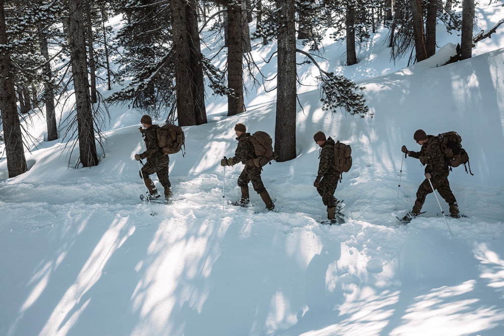 MTX 2-25 Tactical Hike