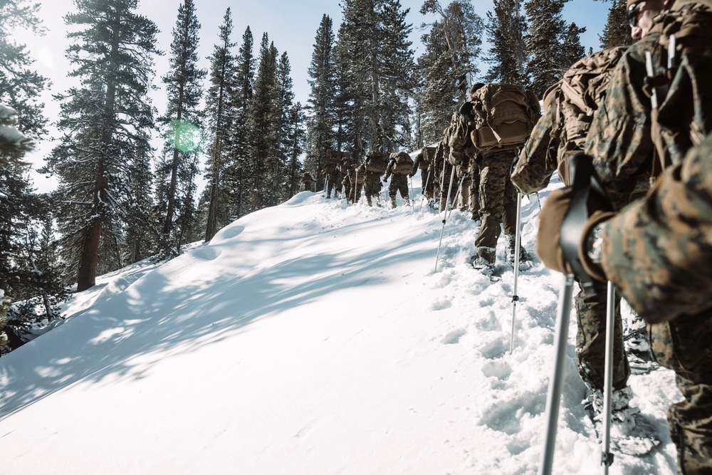 MTX 2-25 Tactical Hike