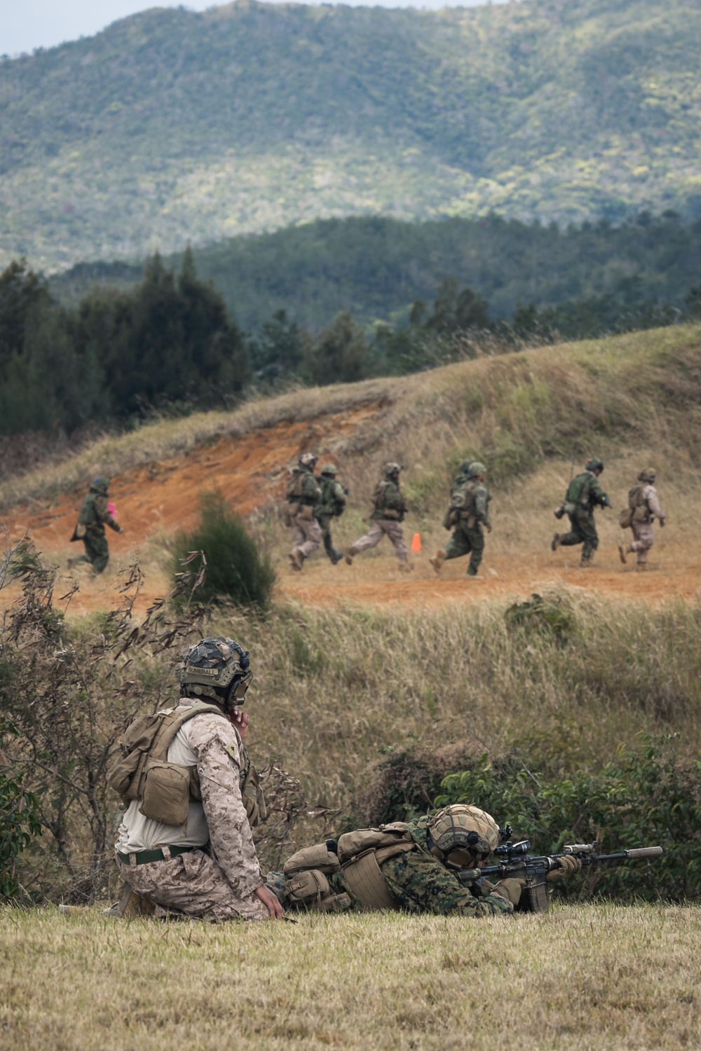 Iron Fist 25 | 31st MEU conducts integrated squad attacks