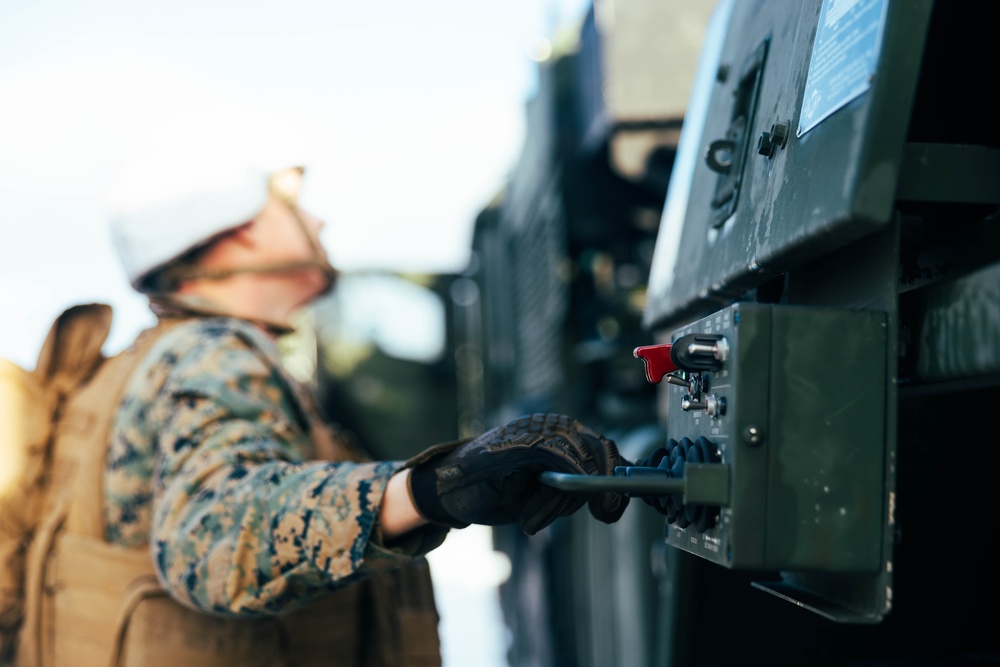 Exercise Joint Viking 25: Joint Recovery Demonstration