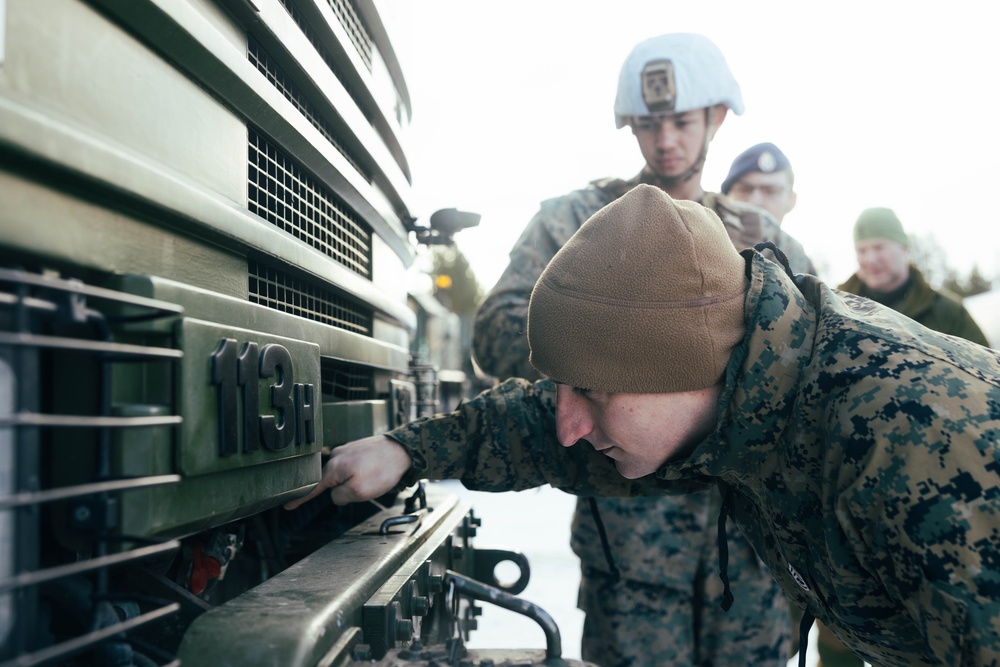 Exercise Joint Viking 25: Joint Recovery Demonstration