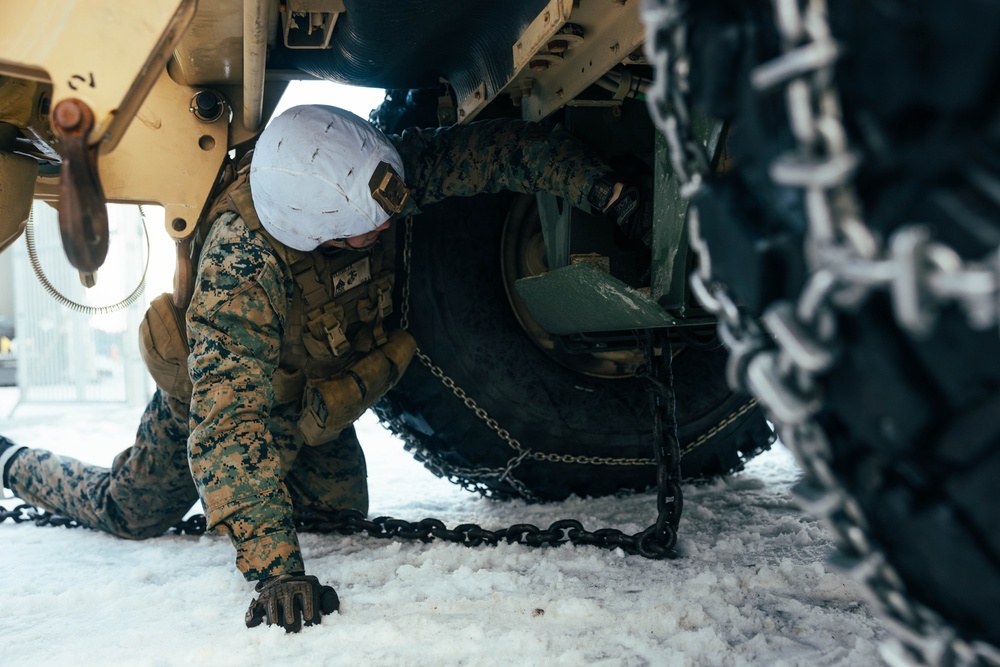 Exercise Joint Viking 25: Joint Recovery Demonstration