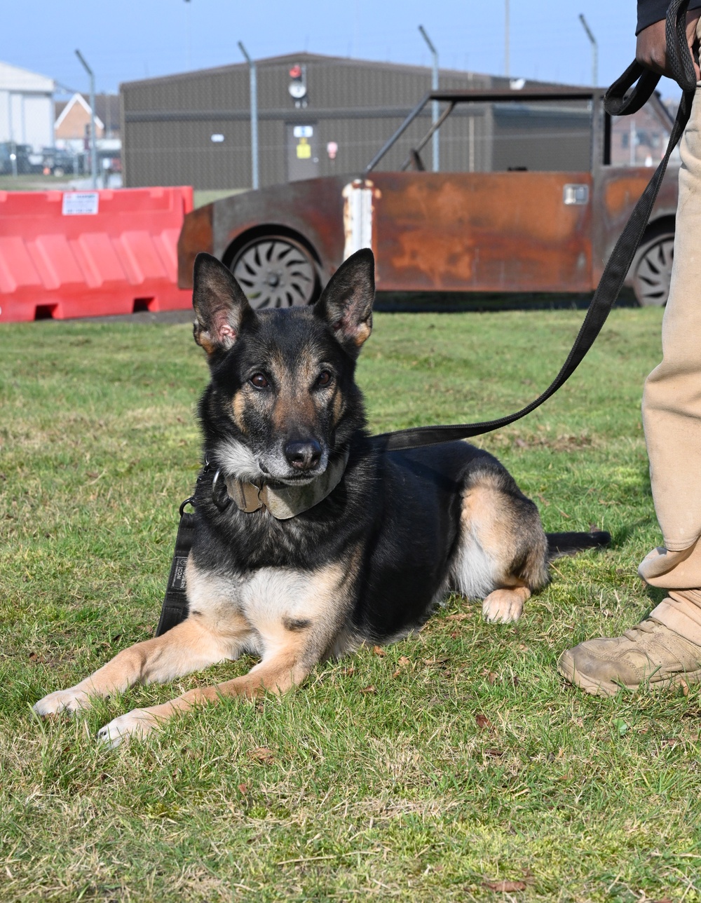 Honorary commanders, Lion Squadron members welcomed to RAF Mildenhall