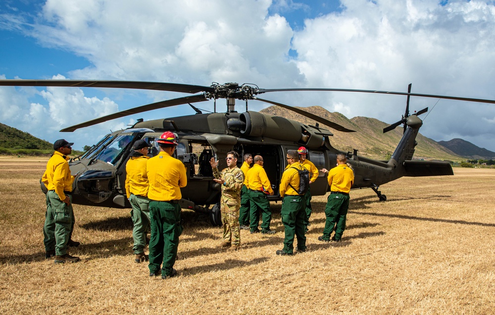 Bambi Bucket Training