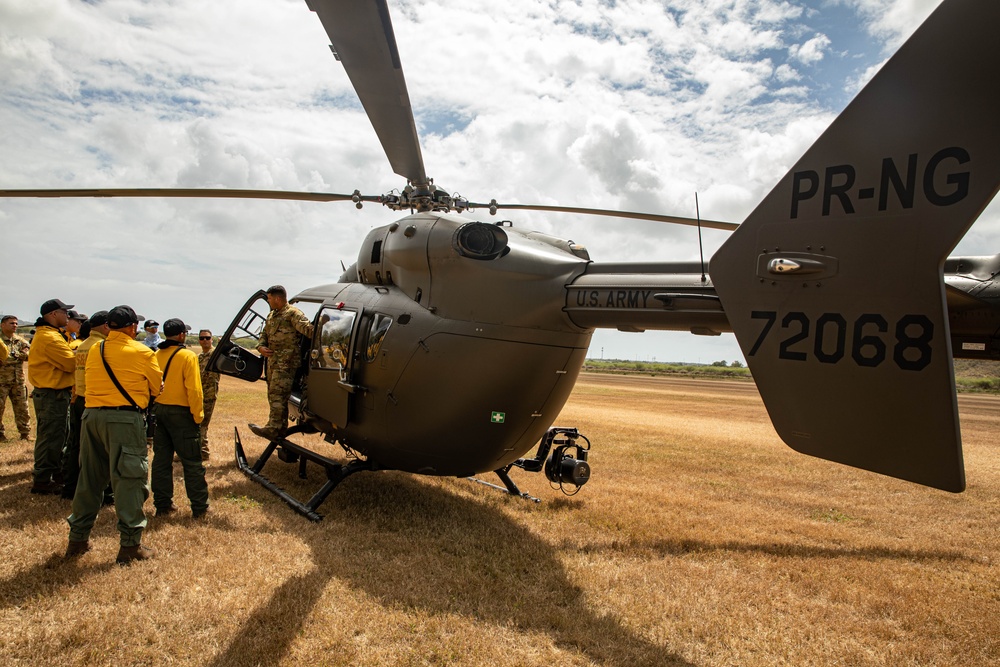 Bambi Bucket Training