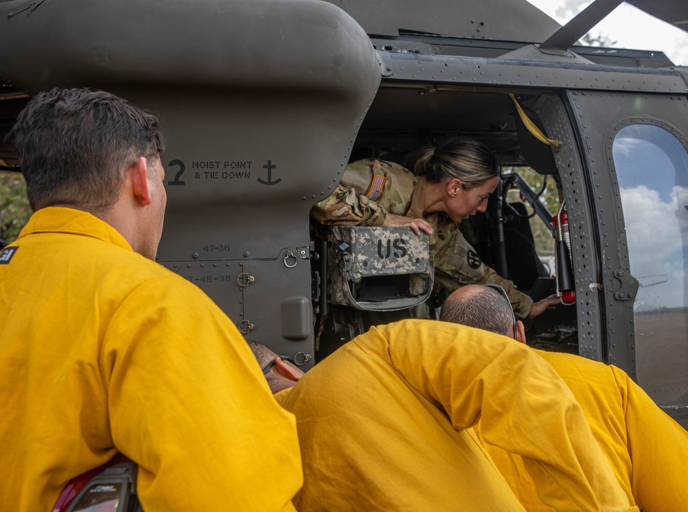 Bambi Bucket Training