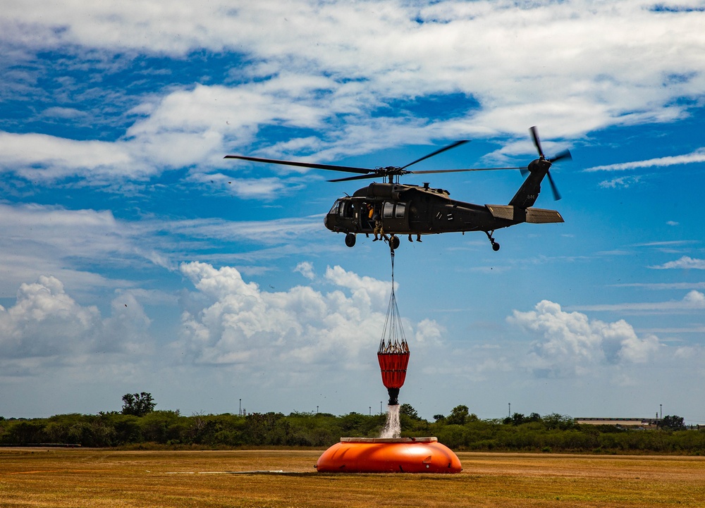 Bambi Bucket Training