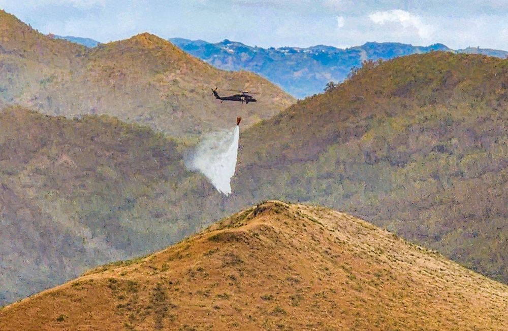 Bambi Bucket Training