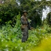 Cobra Gold 25: 1st LAR Bn. Marines, sailors conduct multilateral jungle patrol