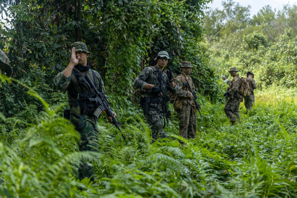 Cobra Gold 25: 1st LAR Bn. Marines, sailors conduct multilateral jungle patrol