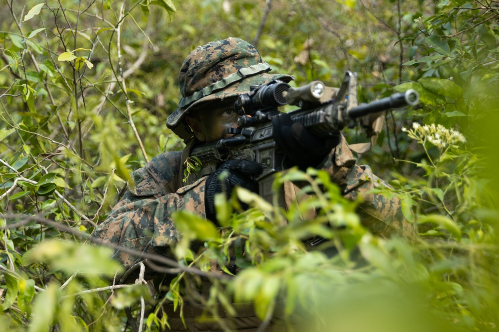 Cobra Gold 25: 1st LAR Bn. Marines, sailors conduct multilateral jungle patrol