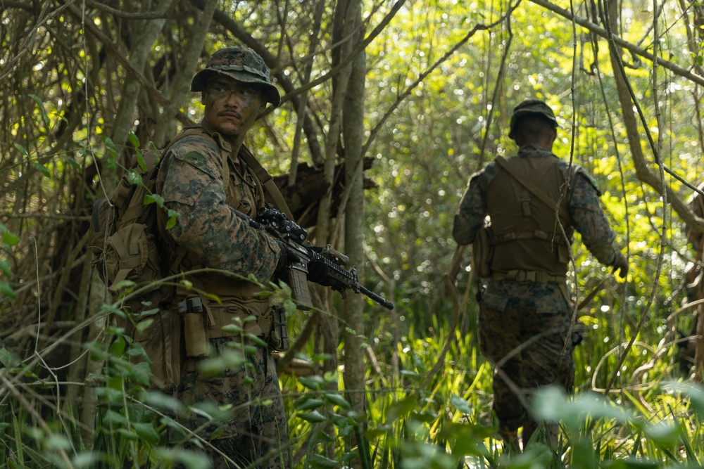 Cobra Gold 25: 1st LAR Bn. Marines, sailors conduct multilateral jungle patrol