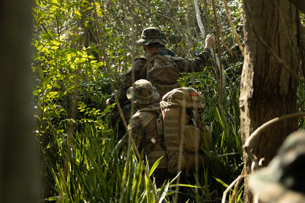 Cobra Gold 25: 1st LAR Bn. Marines, sailors conduct multilateral jungle patrol