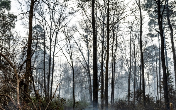 South Carolina National Guard Aids in Horry County Firefighting Efforts