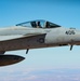 Mind the hornet’s nest: U.S. Navy Super Hornets soar over CENTCOM AOR