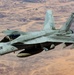 Mind the hornet’s nest: U.S. Navy Super Hornets soar over CENTCOM AOR