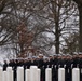 Military Funeral Honors with Funeral Escort are Conducted for U.S. Marine Corps Lt. Gen. Norman Smith in Section 55