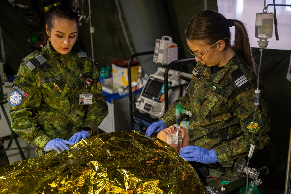 U.S., NATO, partner nations participate in Bulgarian Multilateral Medical Simulation Training Engagement