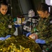 U.S., NATO, partner nations participate in Bulgarian Multilateral Medical Simulation Training Engagement