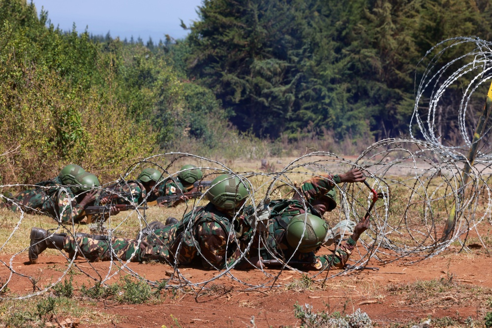 US, UK, Kenya, Somalia, Tanzania participate in rescue exercise during Justified Accord