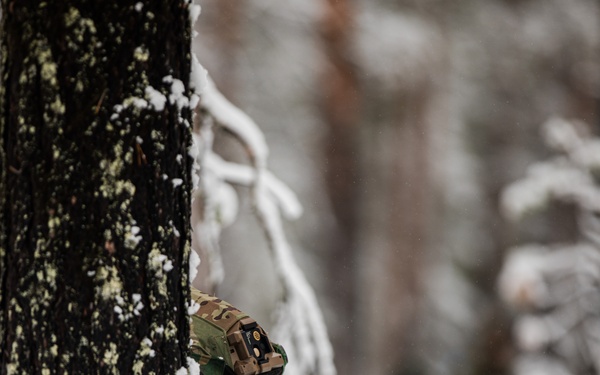 10th Mountain Division participates in Arctic Forge 25 Force on Force Training