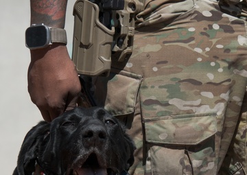 US Coast Guard Deployable Specialized Forces Secure Mardi Gras