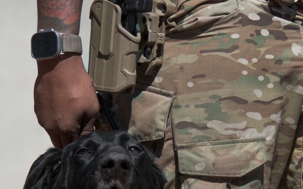 US Coast Guard Deployable Specialized Forces Secure Mardi Gras