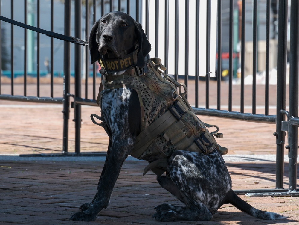 US Coast Guard Deployable Specialized Forces Secure Mardi Gras