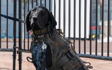 US Coast Guard Deployable Specialized Forces Secure Mardi Gras