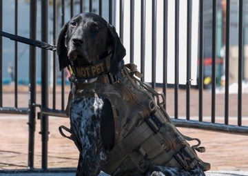 US Coast Guard Deployable Specialized Forces Secure Mardi Gras