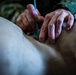 Joint force medics hone combat medic skills during Operation Blue Horizon