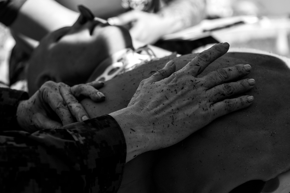 Joint force medics exercise wartime scenarios during Operation Blue Horizon