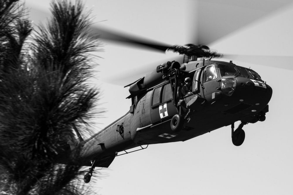 Joint force medics exercise wartime scenarios during Operation Blue Horizon