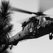 Joint force medics exercise wartime scenarios during Operation Blue Horizon
