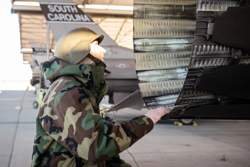 169th Fighter Wing Fox Madness 2025