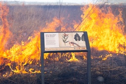 Where Flight Took Off, Fire Now Soars: Huffman Prairie's Prescribed Burn [Image 10 of 13]