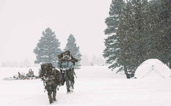 MTX 2-25 Mobility Training