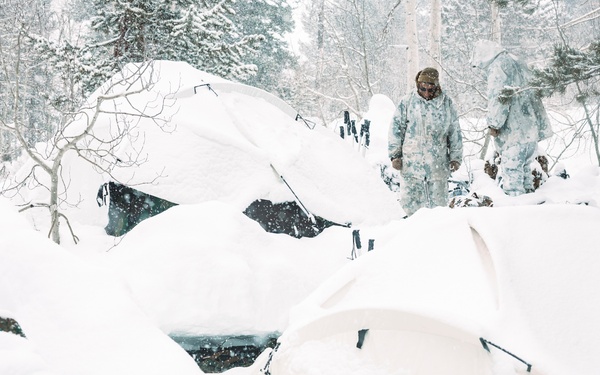 MTX 2-25 Mobility Training