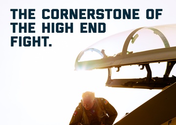 Cornerstone of the High-End Fight