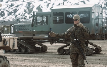 Marines with CLB-6 Transport Cargo During MTX 2-25