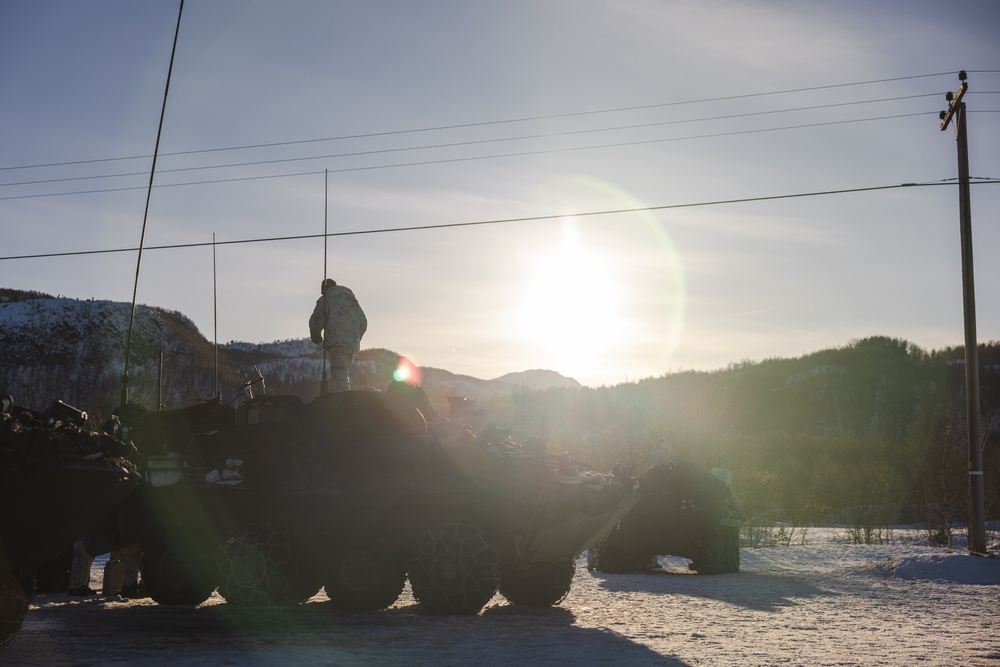 Exercise Joint Viking 25: II MEF and 2d MARDIV Leadership Visits Marines and Sailors Participating in Exercise JV25