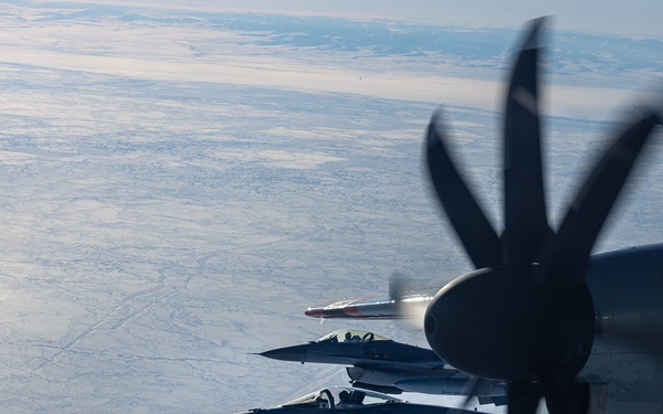 Operation Frozen Musk Ox