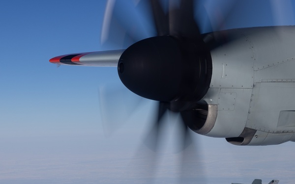 Operation Frozen Musk Ox